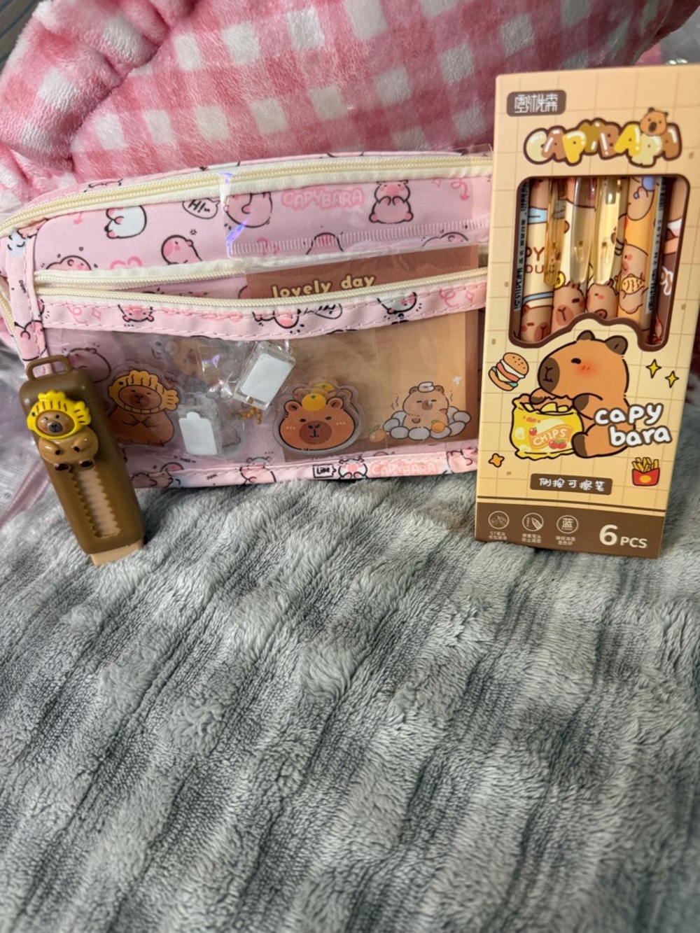 Cute Pink Capybara Clear Pencil Case